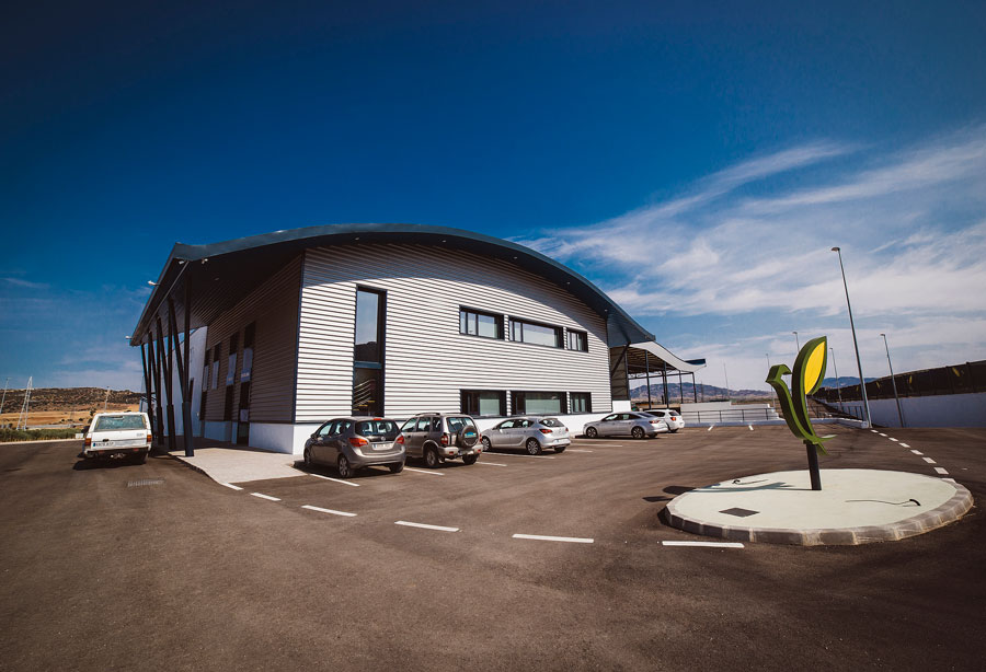 Almazara 4.0 San Francisco